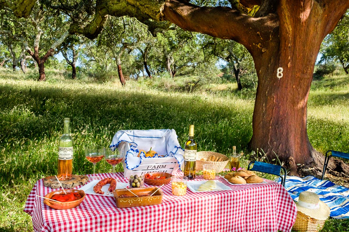picnic portugal countryside