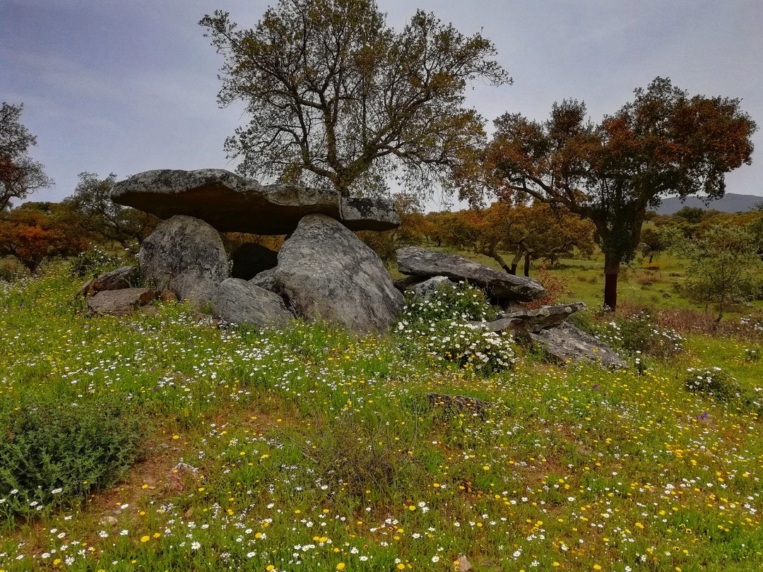 Spring is one of the best arguments to visit the Dolmens. Join us!